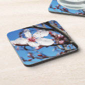 Dessous-de-verre Cherry Blossom 2 (Côté gauche)