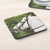 DESSOUS-DE-VERRE CHEVAL (Côté gauche)