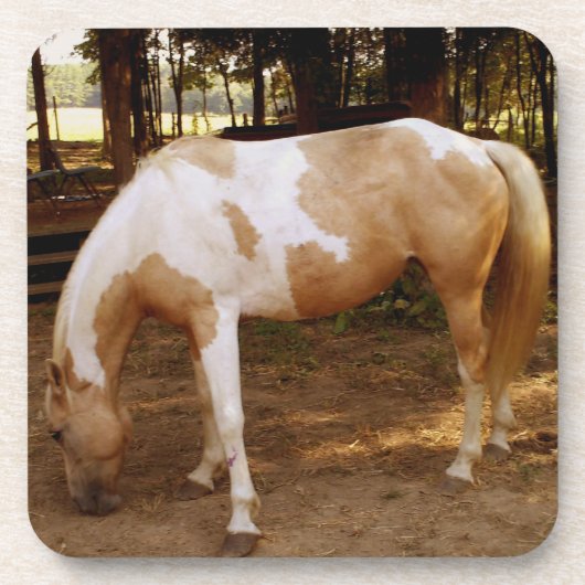 Dessous-de-verre Cheval 3 (Devant)