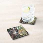 Dessous-de-verre Cheval amish en attente (Côté Droit)