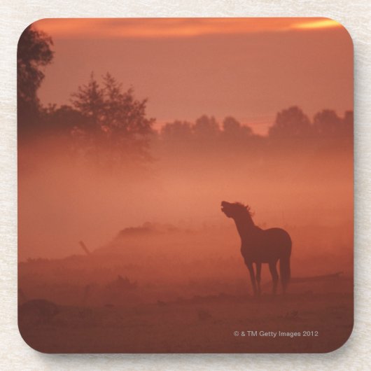 Dessous-de-verre Cheval au lever de soleil (Devant)