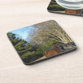 Dessous-de-verre Cheval Brown contre une clôture (Côté gauche)