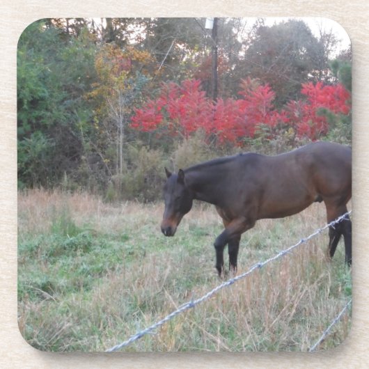 Dessous-de-verre Cheval Brown dans les arbres d'automne rouges (Devant)