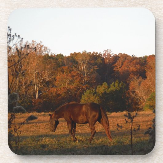 Dessous-de-verre Cheval Brown rouge, bois d'automne. (Devant)