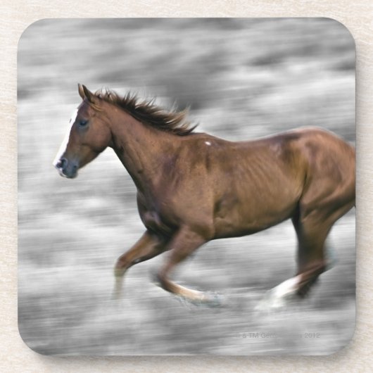Dessous-de-verre Cheval courant (Devant)