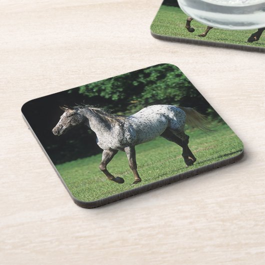 Dessous-de-verre Cheval d'Appaloosa courant 2 (Côté gauche)
