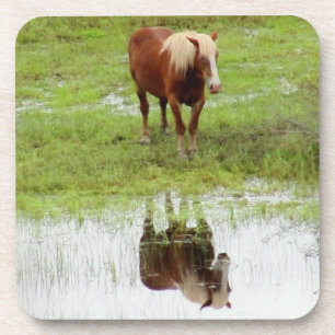 Dessous-de-verre Cheval de ferme vérifie son reflet par DJONeill