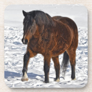 Dessous-de-verre Cheval d'hiver en terrain neigeux