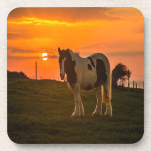 Dessous-de-verre Cheval du coucher du soleil