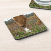 Dessous-de-verre cheval et fleur de printemps Bunny (Côté gauche)