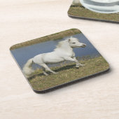 Dessous-de-verre Cheval miniature fonctionnant près de l'eau (Côté gauche)