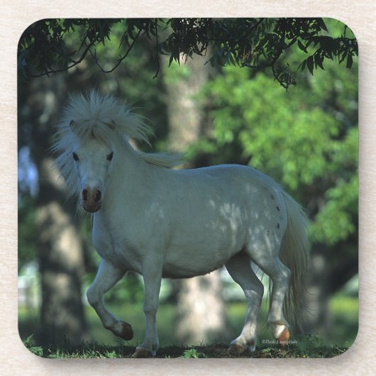 Dessous-de-verre Cheval miniature se tenant dans les arbres (Devant)