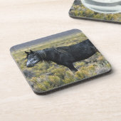 Dessous-de-verre Cheval sauvage de mustang dans le désert (Côté gauche)