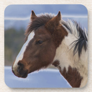Dessous-de-verre Cheval Tri Coloré