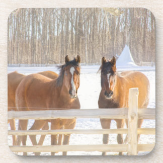 Dessous-de-verre Cheval Vermont Hiver Sous-verre en plastique dur