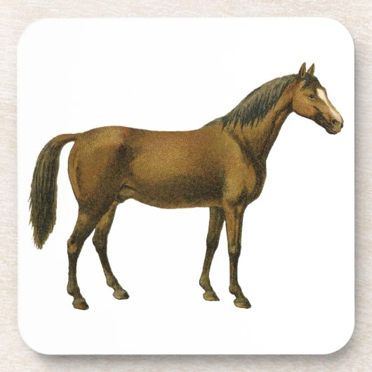 Dessous-de-verre Cheval vintage (Devant)