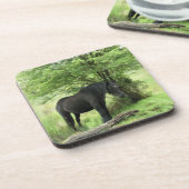 DESSOUS-DE-VERRE CHEVAUX (Côté gauche)