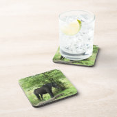 DESSOUS-DE-VERRE CHEVAUX (Côté Droit)