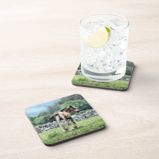 DESSOUS-DE-VERRE CHEVAUX (Côté Droit)