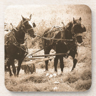 Dessous-de-verre Chevaux Amish Travailler Sepia
