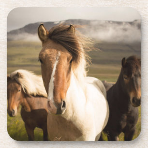 Dessous-de-verre Chevaux dans les montagnes beaux et majestueux