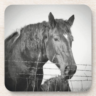 Dessous-de-verre Chevaux derrière la clôture en noir et blanc