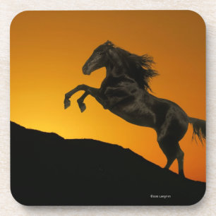 Dessous-de-verre Chevaux d'imaginaire : Coucher du soleil de