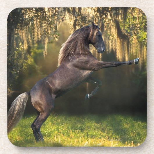 Dessous-de-verre Chevaux d'imaginaire : Prince de guerrier (Devant)