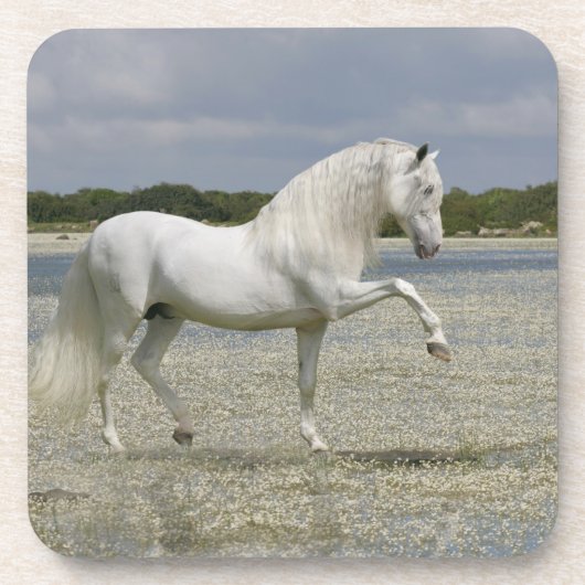 Dessous-de-verre Chevaux d'imaginaire : Seigneur du lac (Devant)