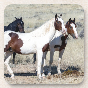 DESSOUS-DE-VERRE CHEVAUX SAUVAGES