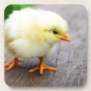 Dessous-de-verre Chick de Pâques