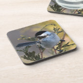 Dessous-de-verre Chickadee_9695 (Côté gauche)