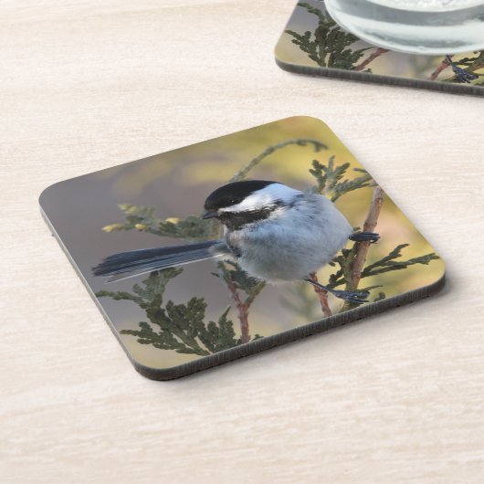 Dessous-de-verre Chickadee_9695 (Côté gauche)