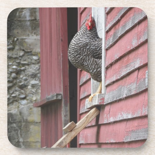 Dessous-de-verre Chicken Coop (Devant)