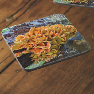 Dessous-de-verre Chicken of the Woods Mushroom Photo