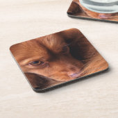 Dessous-de-verre chien (Côté gauche)