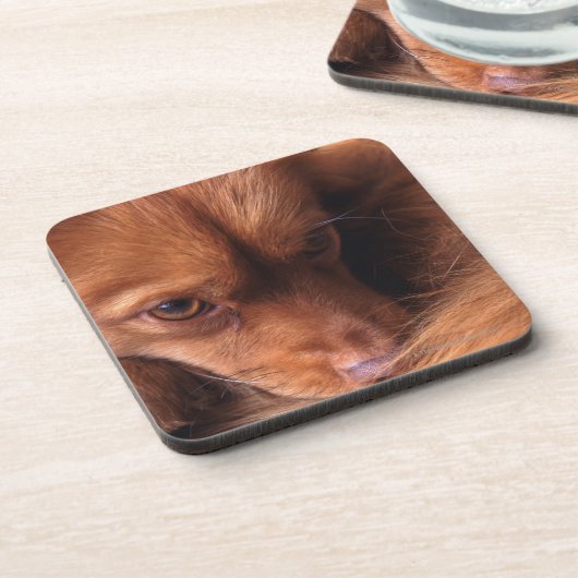 Dessous-de-verre chien (Côté gauche)