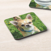 Dessous-de-verre Chien chihuahua minuscule (Côté gauche)