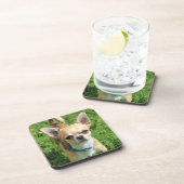 Dessous-de-verre Chien chihuahua minuscule (Côté Droit)