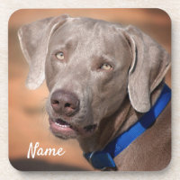 Chien coquelicot Weimaraner personnalisé