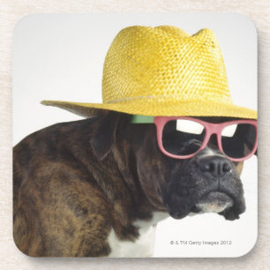 Dessous-de-verre Chien de boxeur avec le casquette et les verres