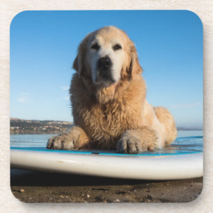 Dessous-de-verre Chien de golden retriever s'étendant sur un