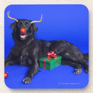 Dessous-de-verre Chien de Noël
