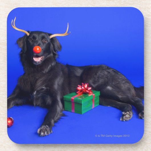 Dessous-de-verre Chien de Noël (Devant)