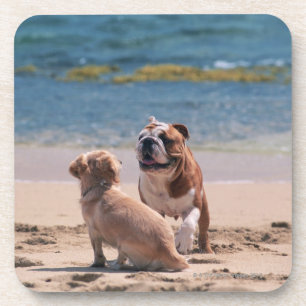 Dessous-de-verre Chien de plage sablonneuse