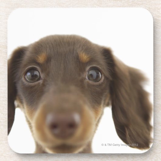 Dessous-de-verre Chien de saucisse (brun) 2 (Devant)