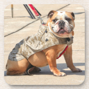 DESSOUS-DE-VERRE CHIEN DE SERVICE MILITAIRE AMÉRICAIN