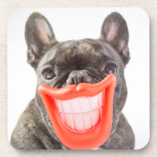 Dessous-de-verre Chien de sourire des images | A de Getty (Devant)