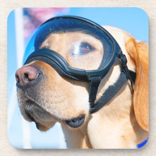 DESSOUS-DE-VERRE CHIEN DE TRAVAIL MILITAIRE AMÉRICAIN