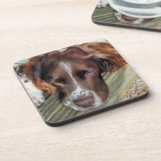 DESSOUS-DE-VERRE CHIEN ESPAGNOL (Côté gauche)